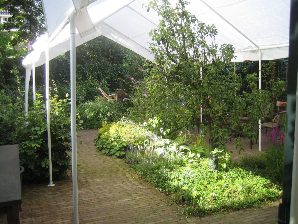 Tuin 2011.