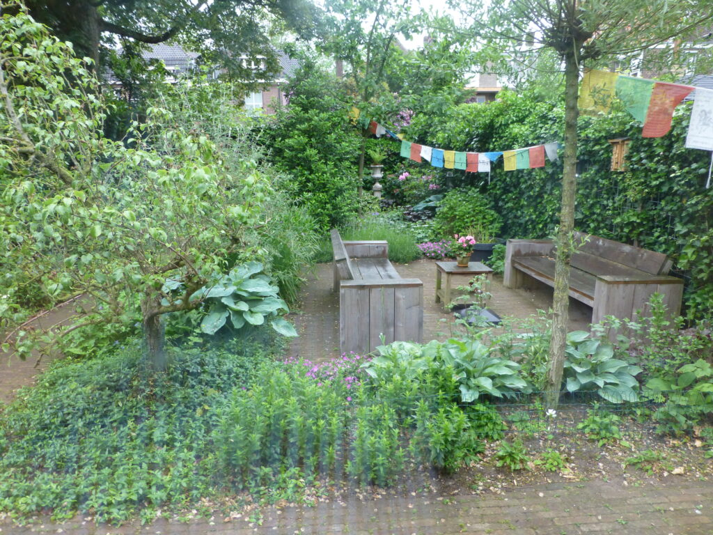 Tuin 2013.