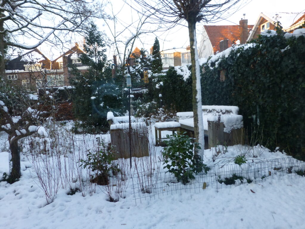 Tuin 2014.