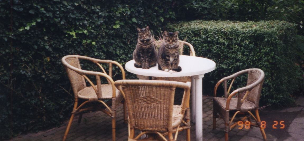 Arnold en Webster (1998, Tilburg).