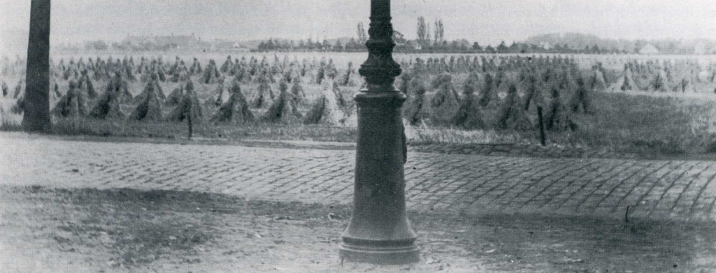 1920, september, Armhoefse Akkers. Het latere ziekenhuisterrein gezien vanaf de Bosscheweg. Op de achtergrond in het midden de R.K. Begraafplaats.