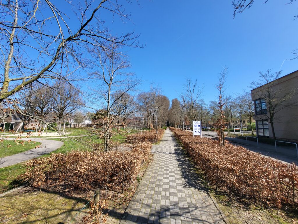 Maart 2022 Jan Ingenhouszpark.