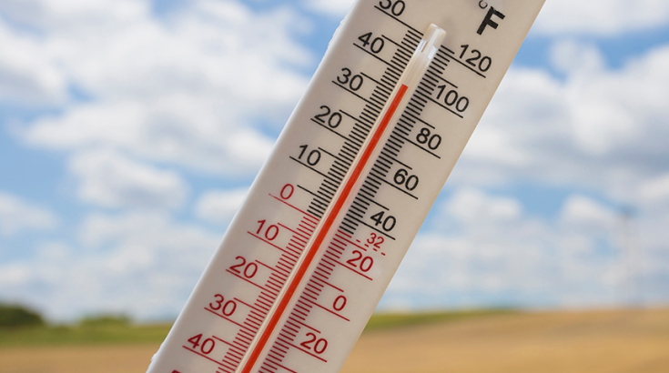 Thermometer