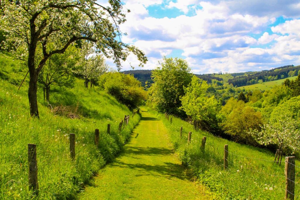 Eifel wandelpad