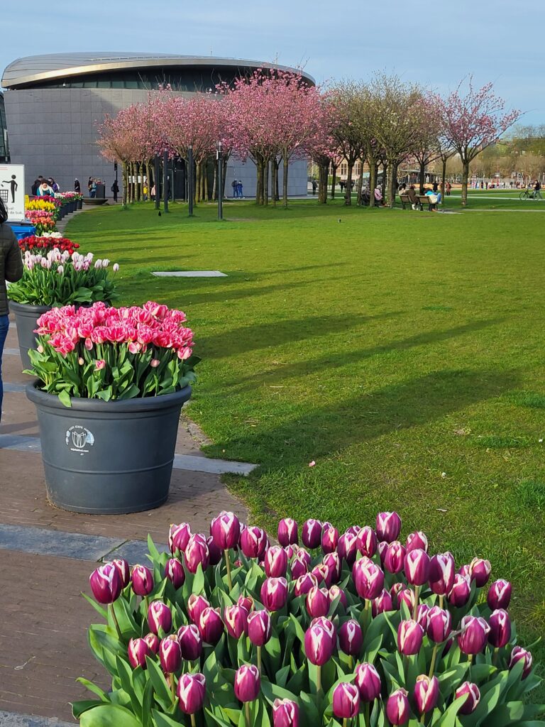 Spring on Museumplein 05-04-2024