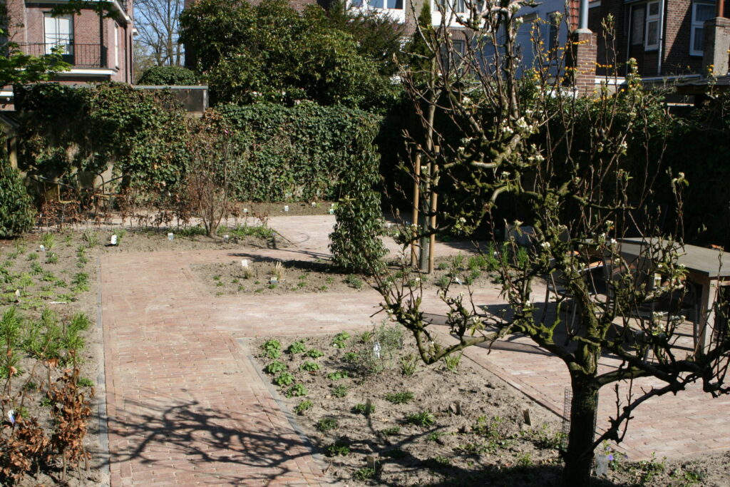 Tuin 2010.