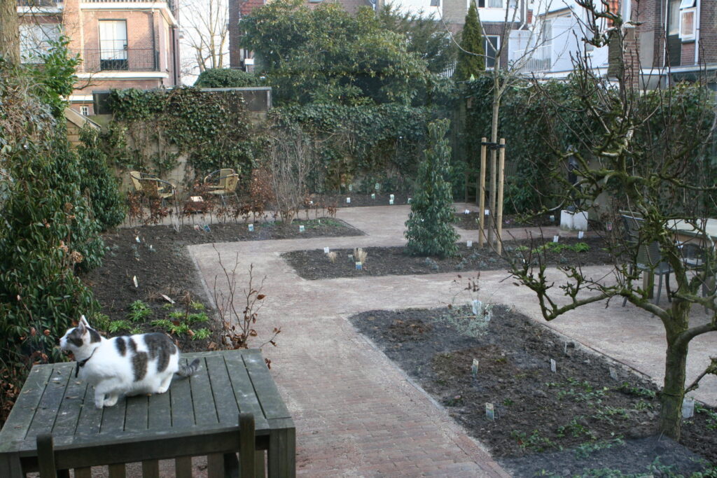 Tuin 2010.